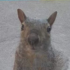 Meet your Posher, Leon